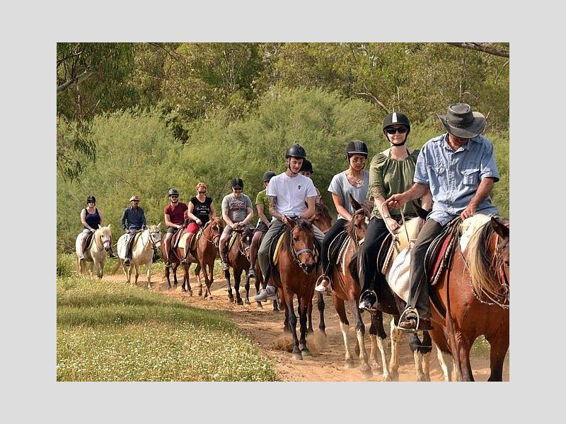 HORSE SAFARI