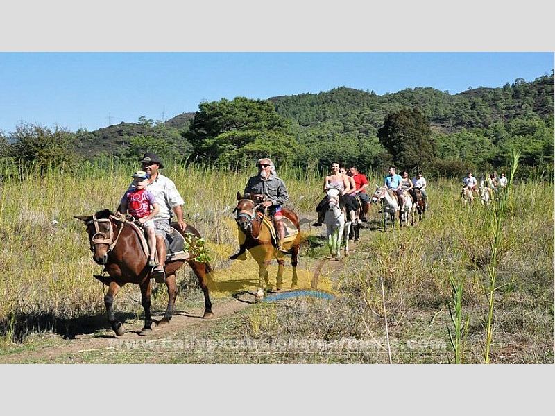 HORSE SAFARI